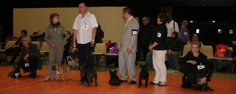 expos 2010